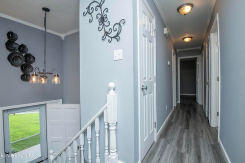 Tiny photo for 117 Skyline Lane, Powell, TN 37849 (MLS # 1349229)