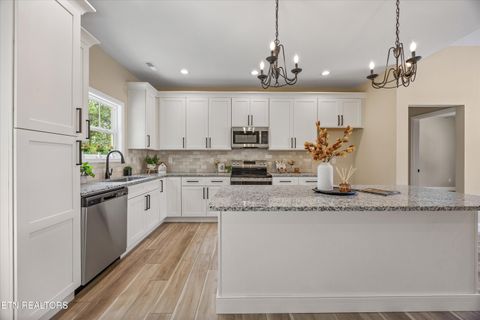 Tiny photo for 210 Daniel Morris Point, Clinton, TN 37716 (MLS # 1315761)
