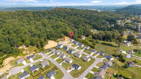 Tiny photo for 210 Daniel Morris Point, Clinton, TN 37716 (MLS # 1315761)
