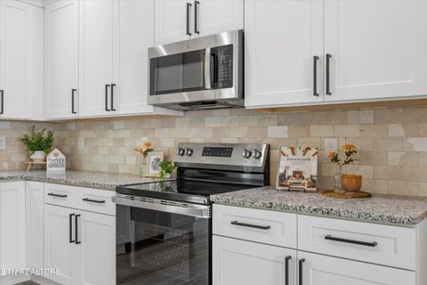 Tiny photo for 210 Daniel Morris Point, Clinton, TN 37716 (MLS # 1315761)