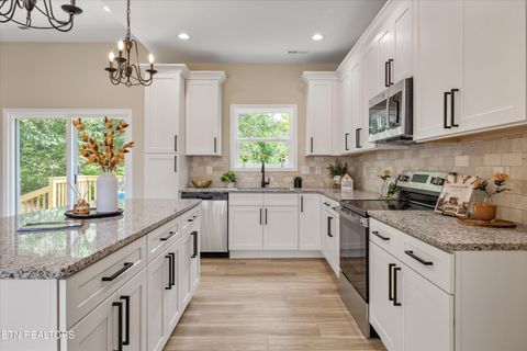 Tiny photo for 210 Daniel Morris Point, Clinton, TN 37716 (MLS # 1315761)