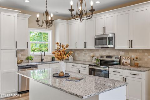 Tiny photo for 210 Daniel Morris Point, Clinton, TN 37716 (MLS # 1315761)