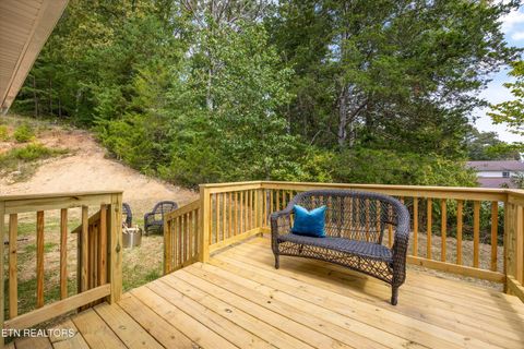 Tiny photo for 210 Daniel Morris Point, Clinton, TN 37716 (MLS # 1315761)