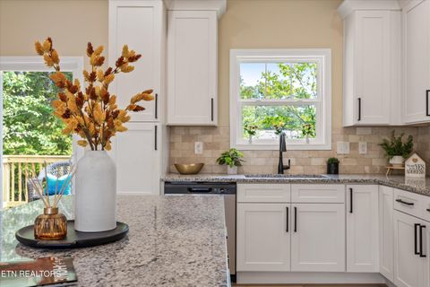 Tiny photo for 210 Daniel Morris Point, Clinton, TN 37716 (MLS # 1315761)