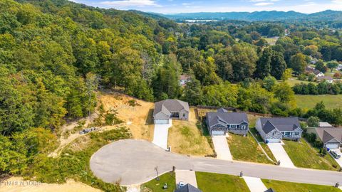 Tiny photo for 210 Daniel Morris Point, Clinton, TN 37716 (MLS # 1315761)