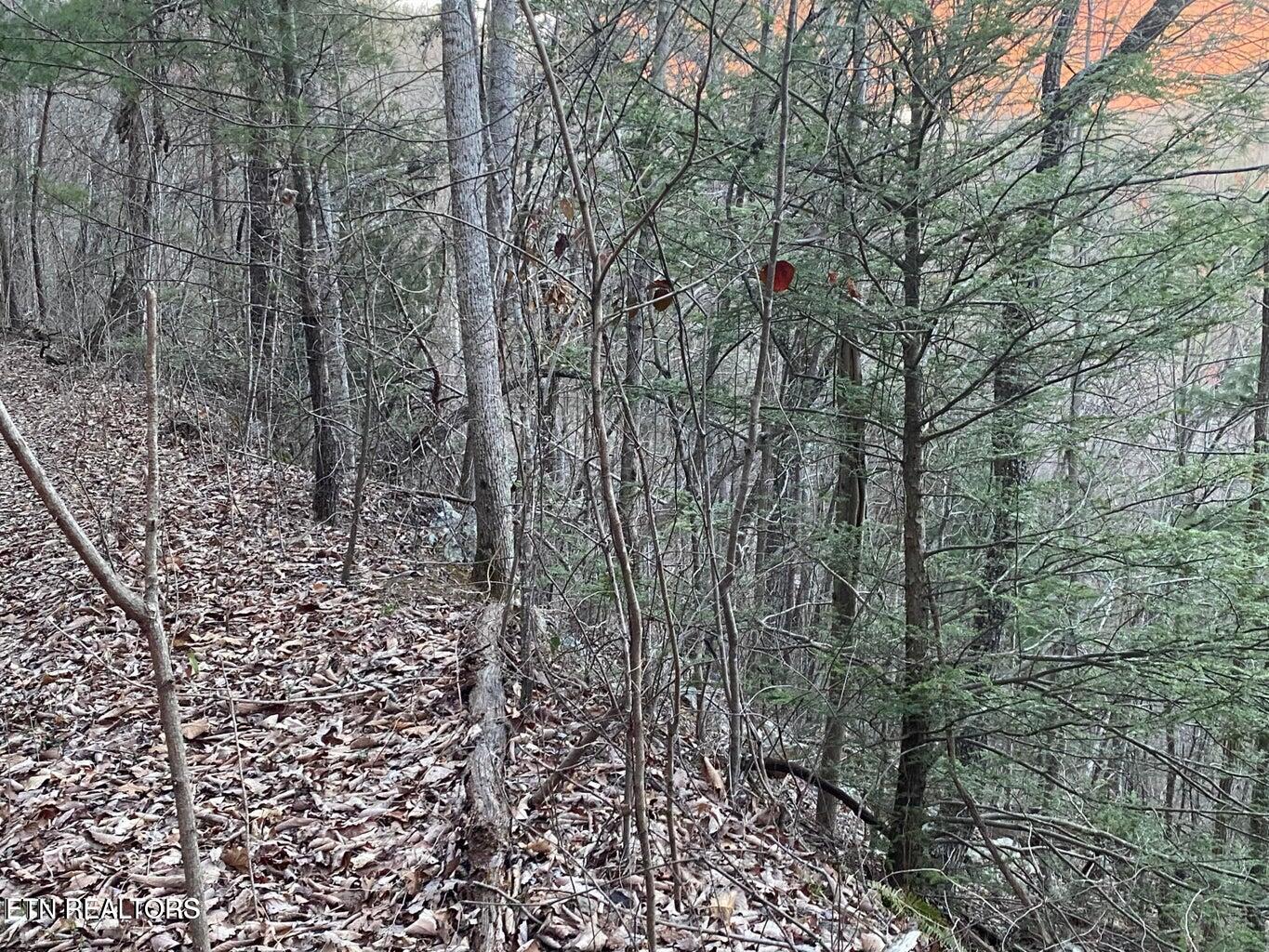 Lot 35 Elderberry Drive