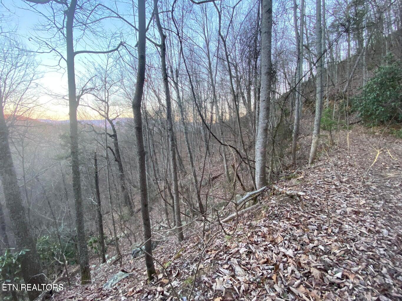 Lot 35 Elderberry Drive