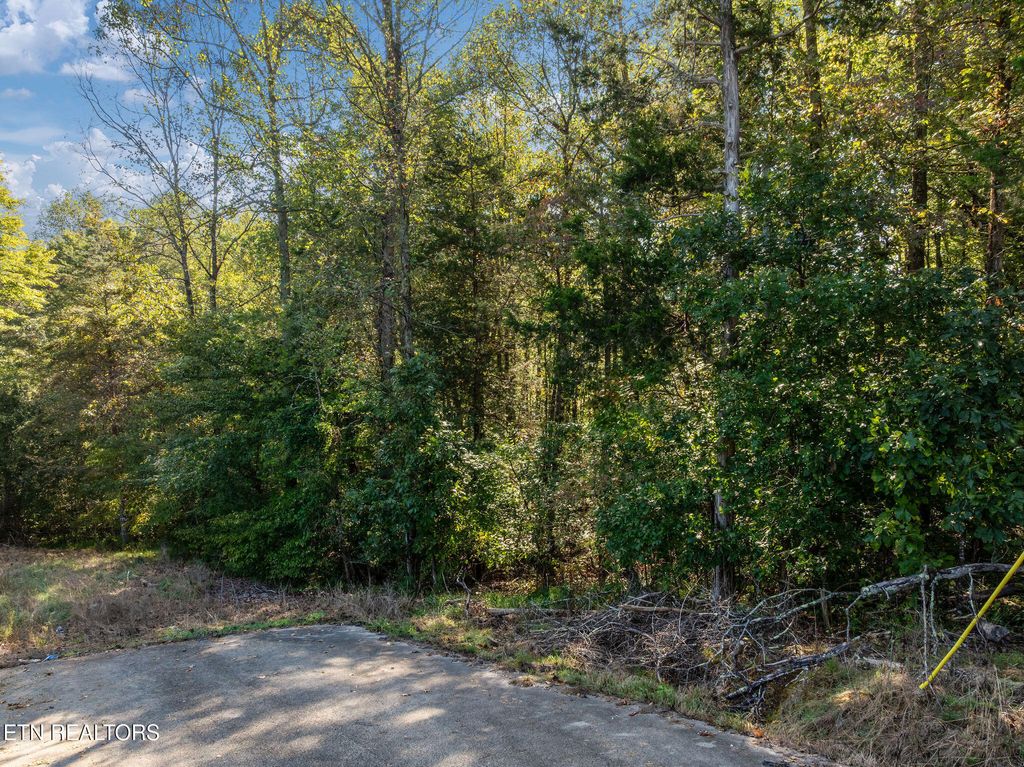 Photo of Harolds Lane, Tazewell, TN 37879 (MLS # 1316222)