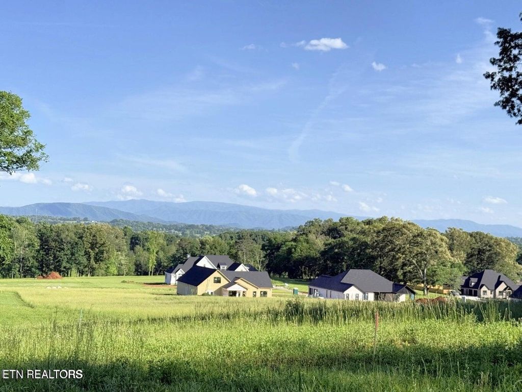 Photo of 124 Kellys View Drive, Greenback, TN 37742 (MLS # 1322193)