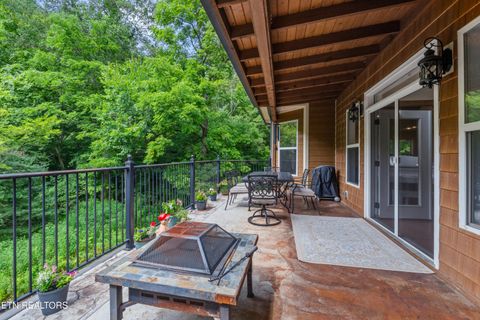 Tiny photo for 106 Sunshine Way, Townsend, TN 37882 (MLS # 1346218)