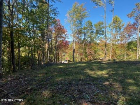 Featured picture for the property 1243751