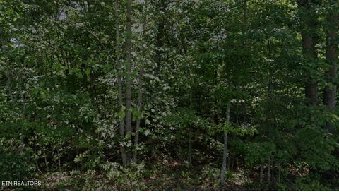 Photo of 1001 Pahue Drive, Crossville, TN 38572 (MLS # 1337465)