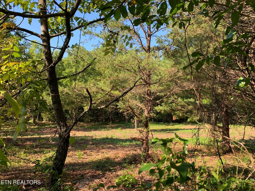 Photo of Payne Rd, Tellico Plains, TN 37385 (MLS # 1264714)