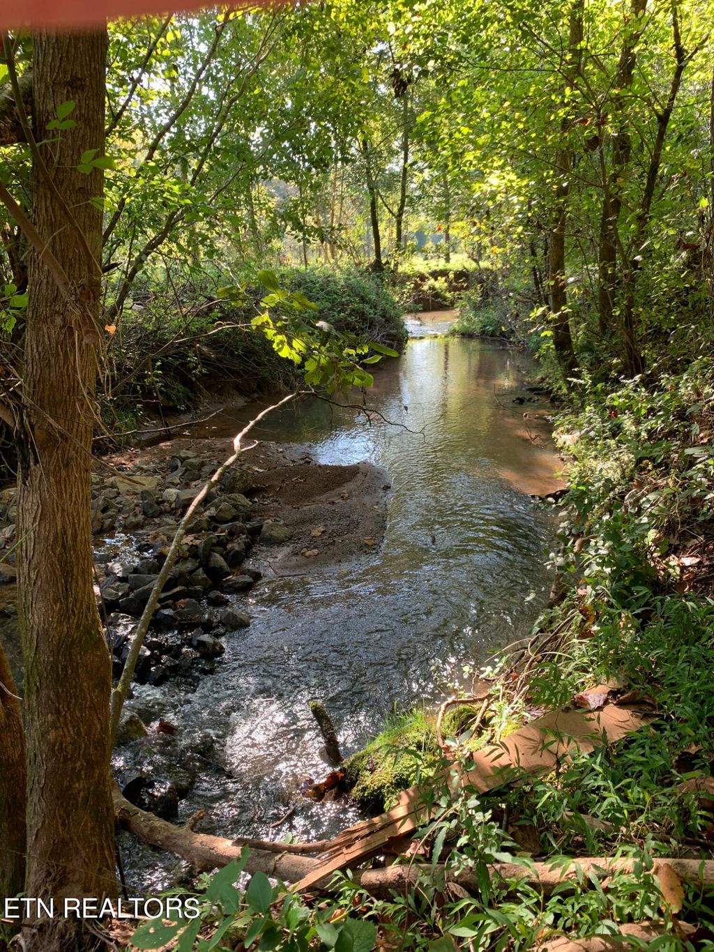 Photo of Payne Rd, Tellico Plains, TN 37385 (MLS # 1264714)