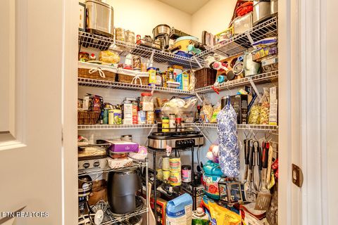 Tiny photo for 120 Waverly Path, Talbott, TN 37877 (MLS # 1335696)