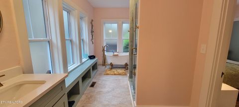 Tiny photo for 318 E Meeting St, Dandridge, TN 37725 (MLS # 1326908)