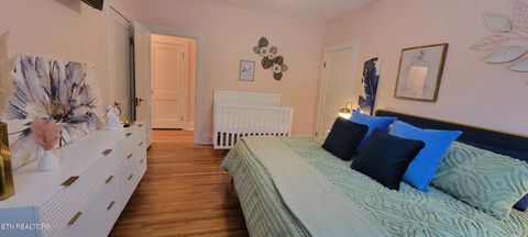 Tiny photo for 318 E Meeting St, Dandridge, TN 37725 (MLS # 1326908)