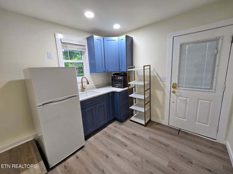 Tiny photo for 318 E Meeting St, Dandridge, TN 37725 (MLS # 1326908)