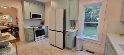 Tiny photo for 318 E Meeting St, Dandridge, TN 37725 (MLS # 1326908)