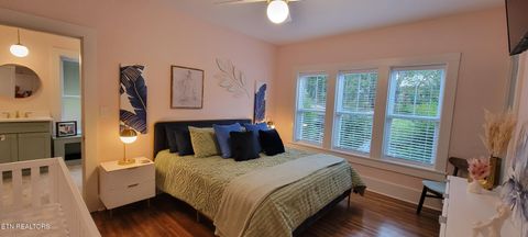 Tiny photo for 318 E Meeting St, Dandridge, TN 37725 (MLS # 1326908)