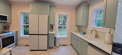 Tiny photo for 318 E Meeting St, Dandridge, TN 37725 (MLS # 1326908)