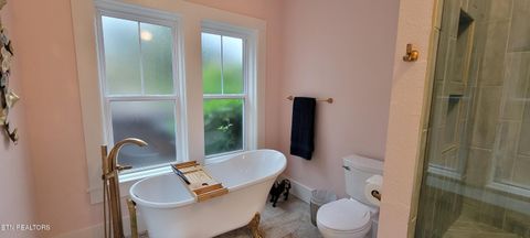 Tiny photo for 318 E Meeting St, Dandridge, TN 37725 (MLS # 1326908)