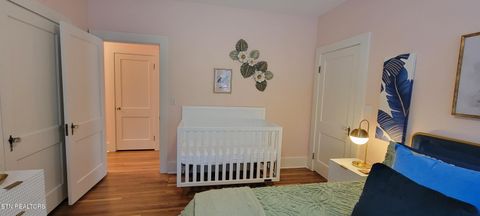 Tiny photo for 318 E Meeting St, Dandridge, TN 37725 (MLS # 1326908)