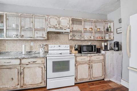 Tiny photo for 128 Wooddale St, Maryville, TN 37801 (MLS # 1332701)