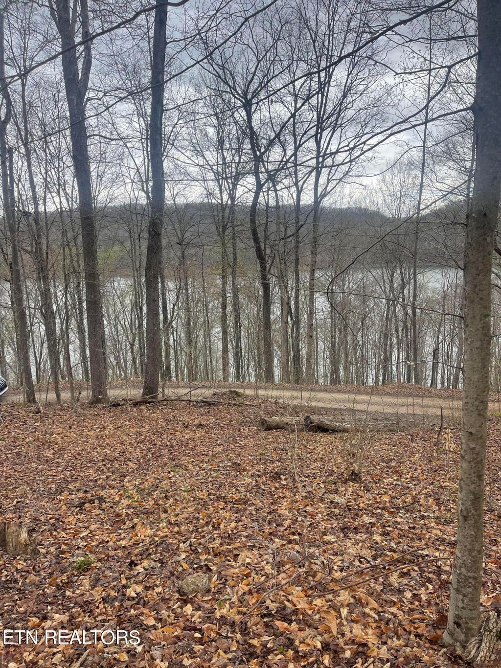 Photo of 121 River Ridge Rd, Maynardville, TN 37807 (MLS # 1258872)