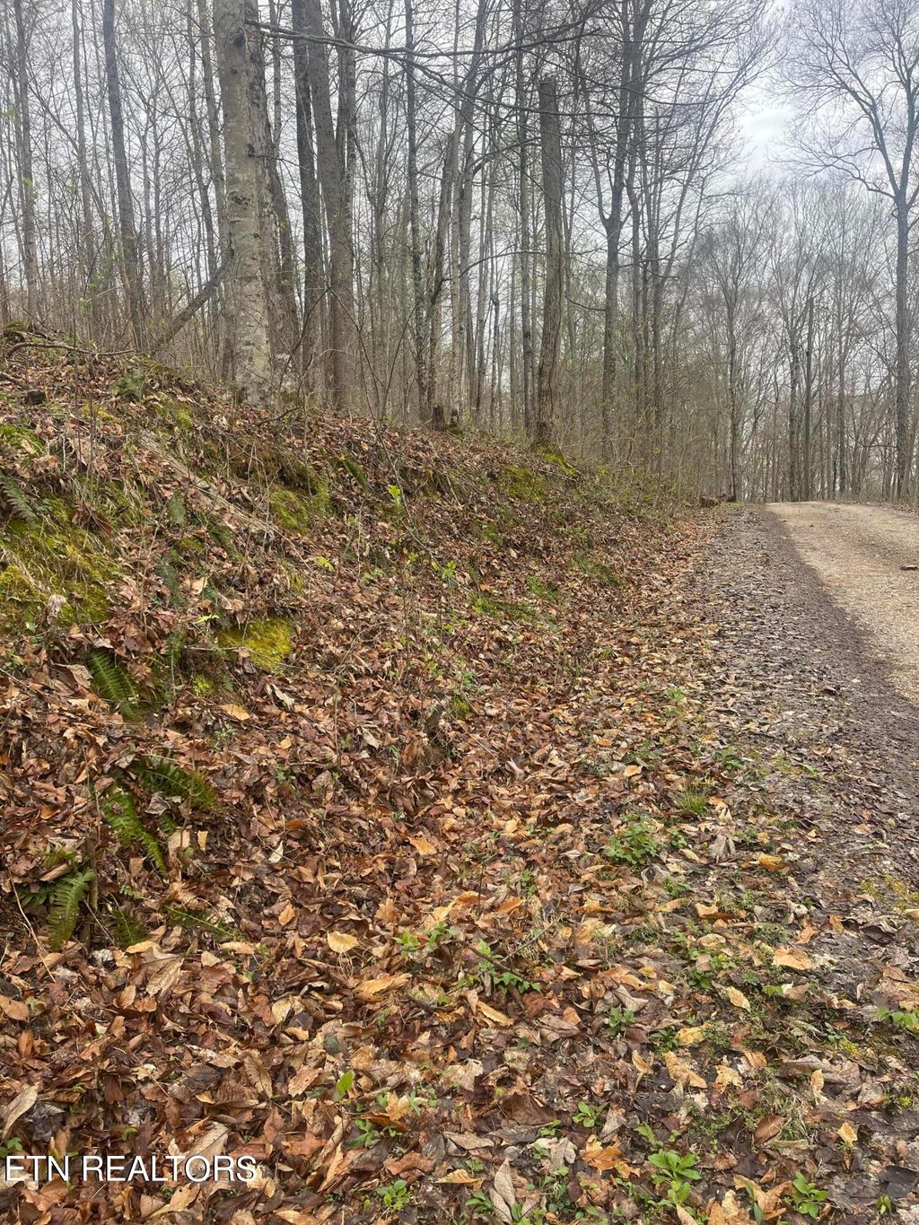 Photo of 121 River Ridge Rd, Maynardville, TN 37807 (MLS # 1258872)