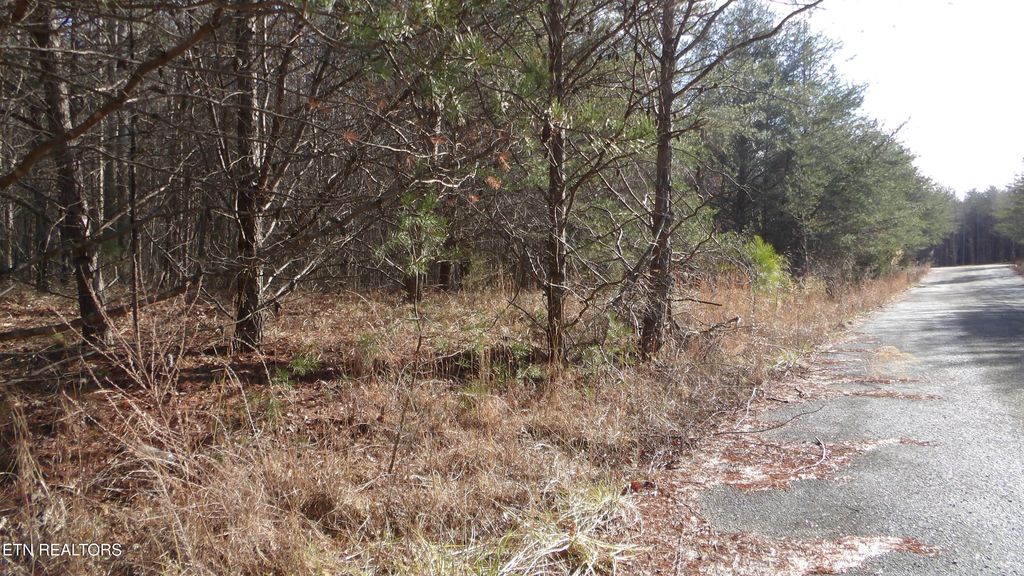 Photo of 185 Meadow Lane, Spencer, TN 38585 (MLS # 1327215)