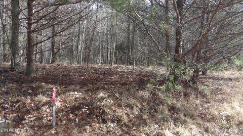 Photo of 185 Meadow Lane, Spencer, TN 38585 (MLS # 1327215)