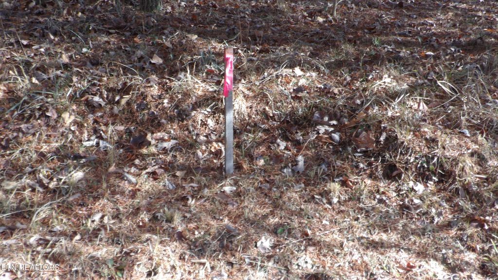 Photo of 185 Meadow Lane, Spencer, TN 38585 (MLS # 1327215)