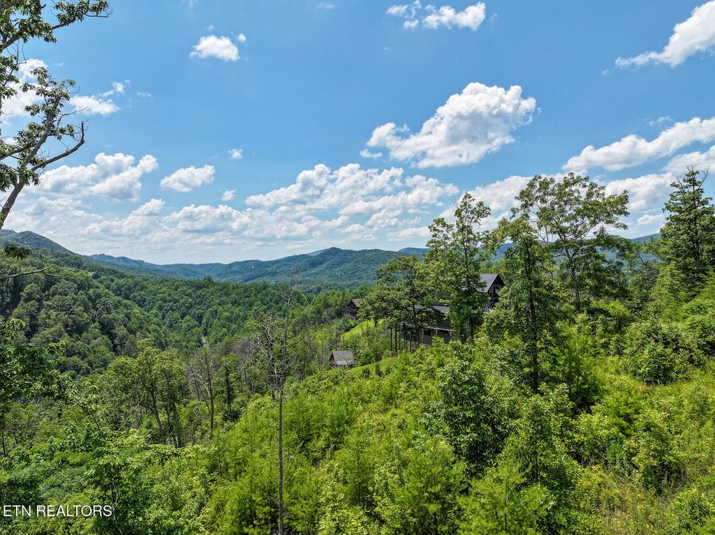 Photo of 24 Coopers Hawk Way, Sevierville, TN 37862 (MLS # 1310110)
