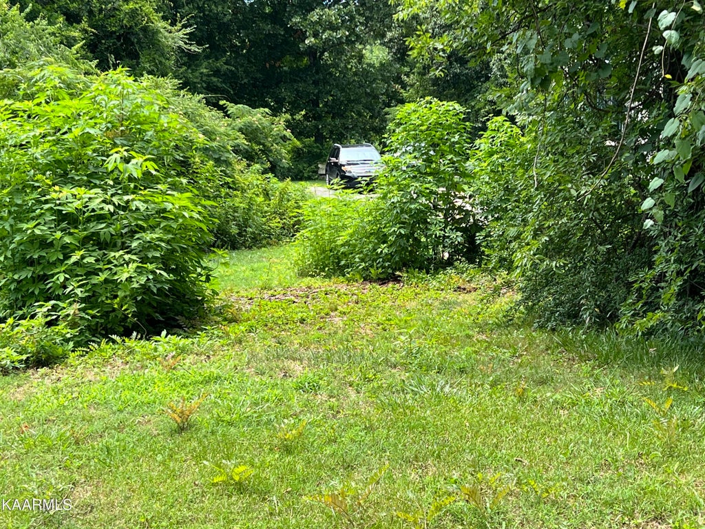 Photo of 1205 Adcock Ave, Knoxville, TN 37921 (MLS # 1199520)