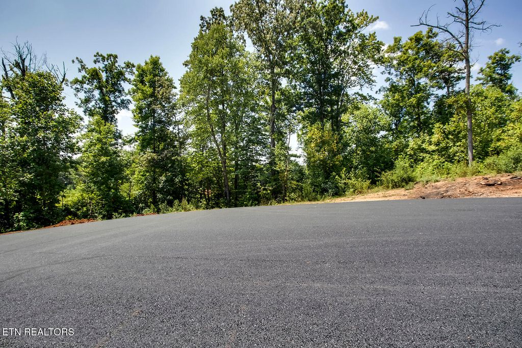Photo of 198 Canter Way, Lenoir City, TN 37771 (MLS # 1315780)