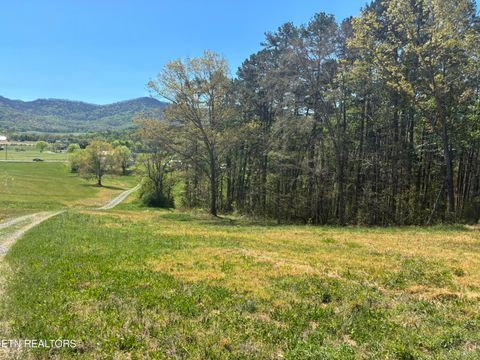 Photo of Highway 411, Sevierville, TN 37876 (MLS # 1335781)