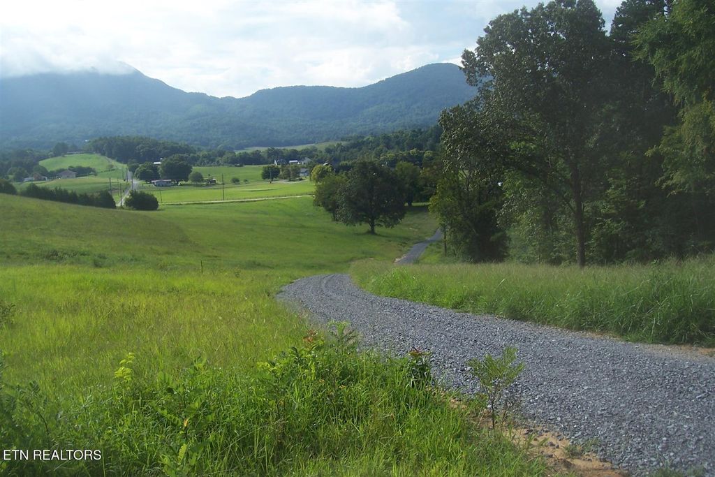 Photo of Highway 411, Sevierville, TN 37876 (MLS # 1335781)