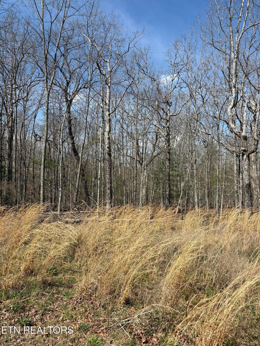 Photo of 2017 Tres Circle, Crossville, TN 38572 (MLS # 1335166)