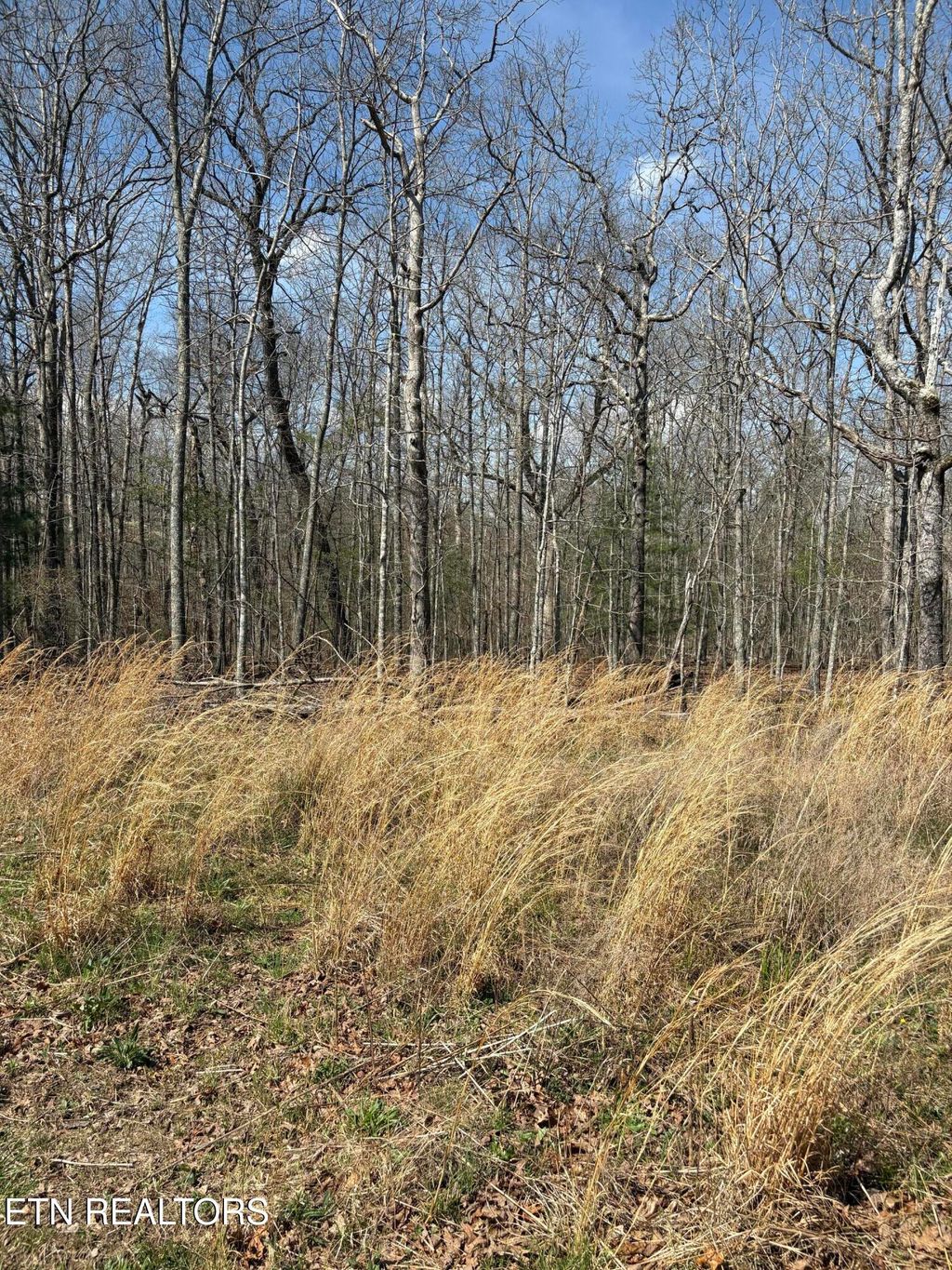 Photo of 2017 Tres Circle, Crossville, TN 38572 (MLS # 1335166)