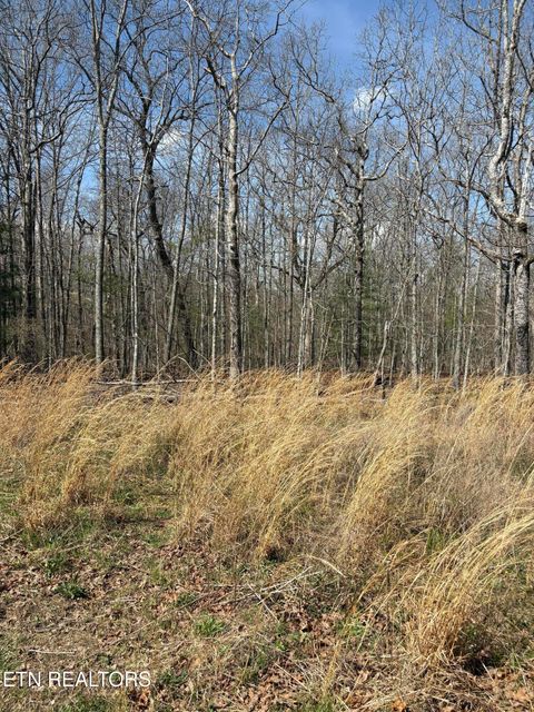 Photo of 2017 Tres Circle, Crossville, TN 38572 (MLS # 1335166)