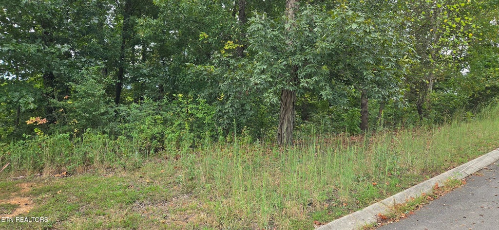 Photo of 1 Sugar Maple Court, Madisonville, TN 37354 (MLS # 1356413)