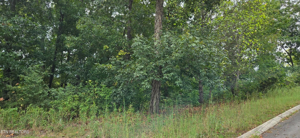 Photo of 1 Sugar Maple Court, Madisonville, TN 37354 (MLS # 1356413)