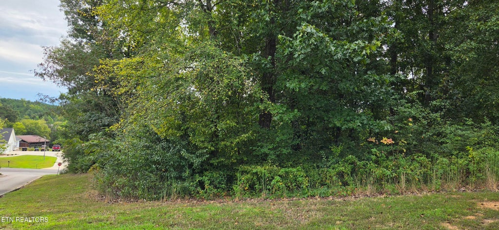 Photo of 1 Sugar Maple Court, Madisonville, TN 37354 (MLS # 1356413)