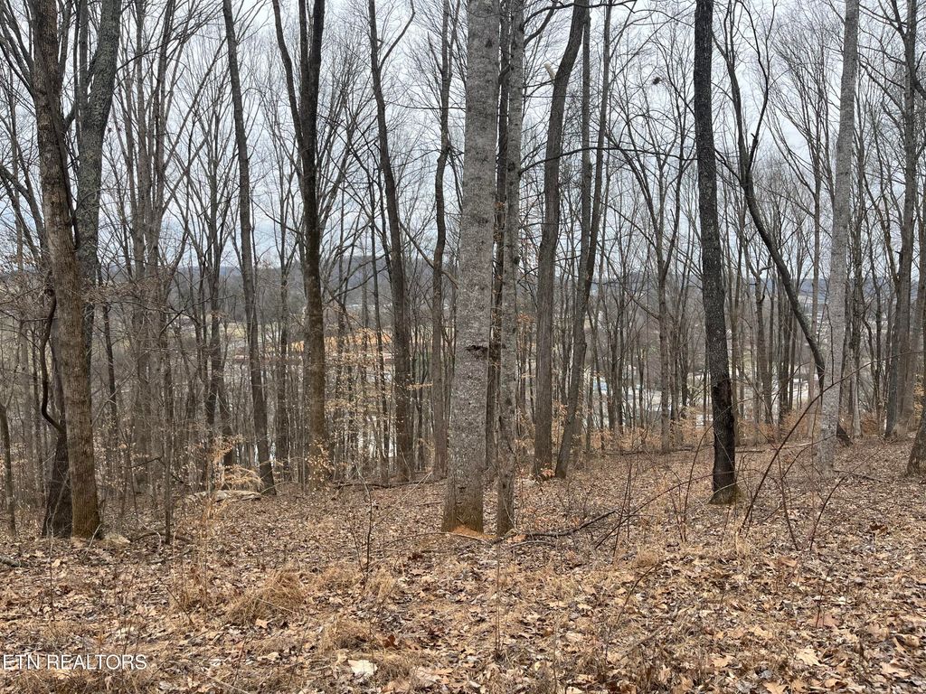 Photo of 147 Chestnut Hill Rd, Livingston, TN 38570 (MLS # 1334859)