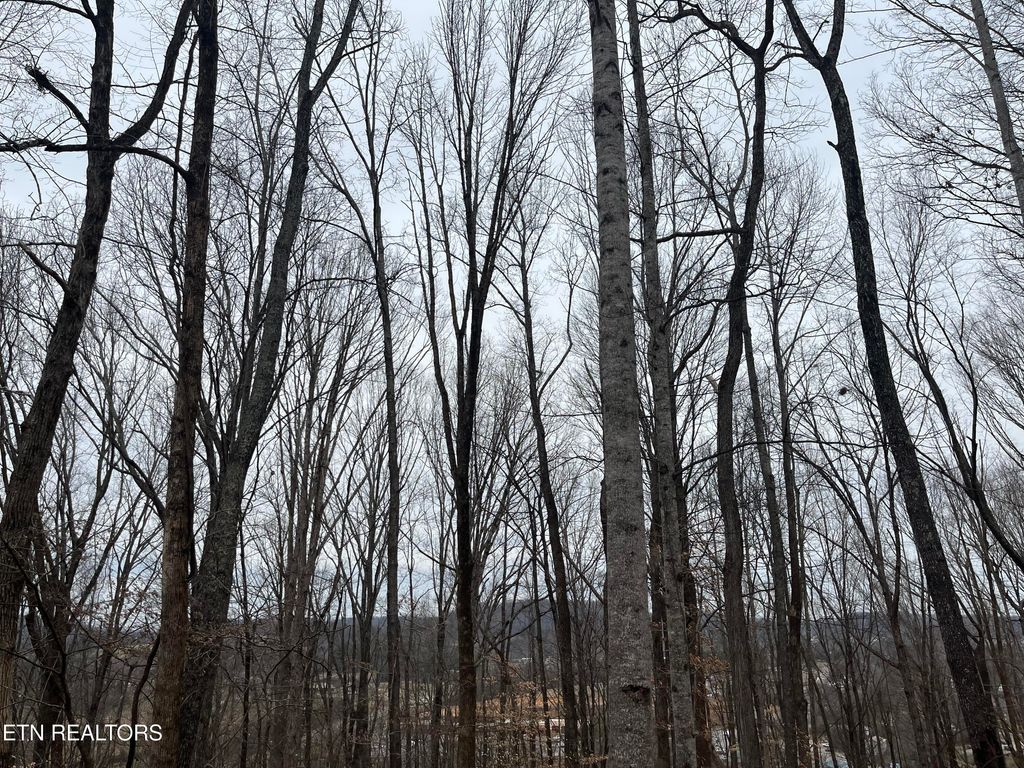 Photo of 147 Chestnut Hill Rd, Livingston, TN 38570 (MLS # 1334859)