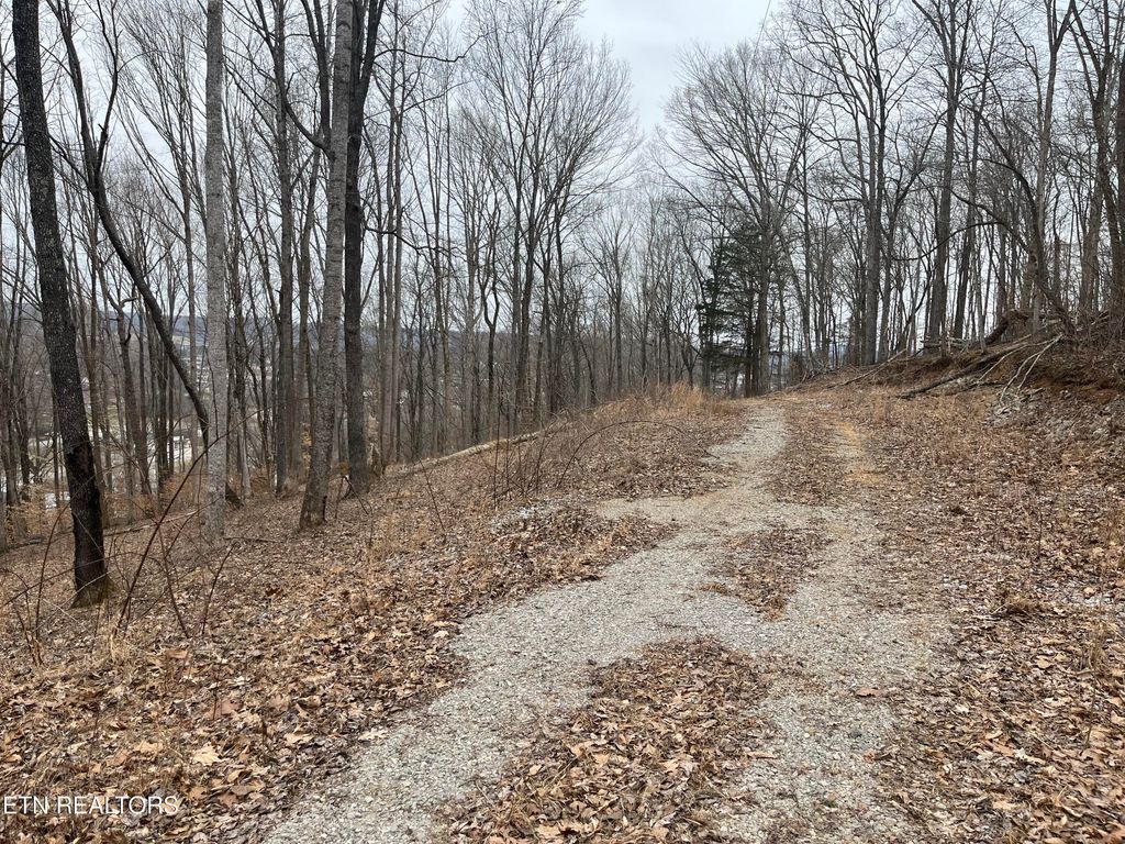 Photo of 147 Chestnut Hill Rd, Livingston, TN 38570 (MLS # 1334859)