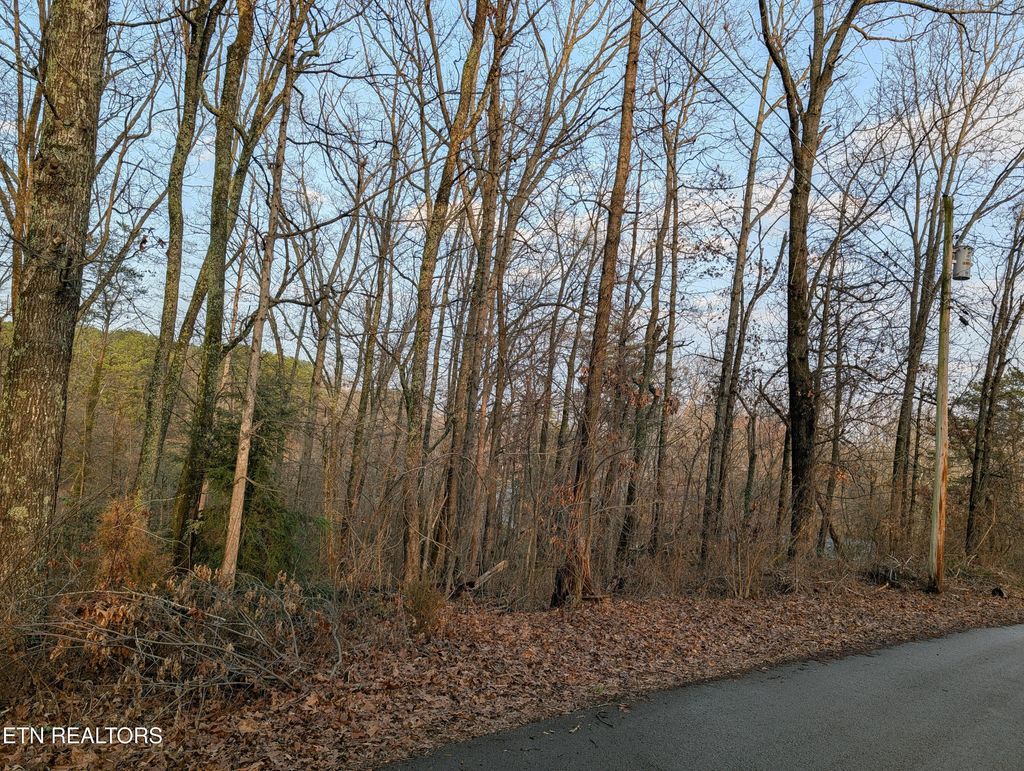 Photo of 00 Pine Breeze Circle, Rockwood, TN 37854 (MLS # 1330120)