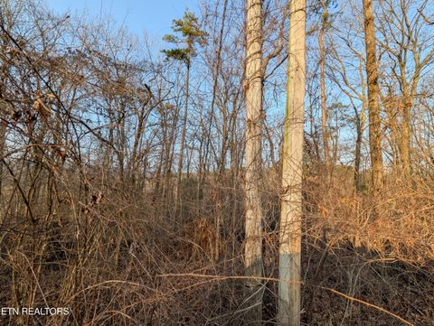 Tiny photo for 00 Pine Breeze Circle, Rockwood, TN 37854 (MLS # 1330120)