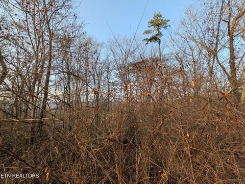 Tiny photo for 00 Pine Breeze Circle, Rockwood, TN 37854 (MLS # 1330120)